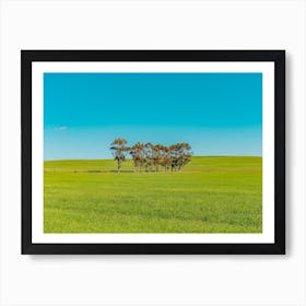 Green Field With Trees Art Print