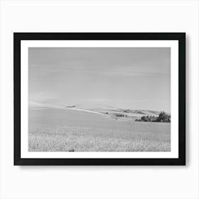 Farmstead And Wheat Land, Walla Walla County, Washington By Russell Lee Art Print