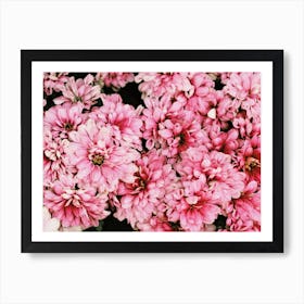 Bright Pink Flowers Art Print