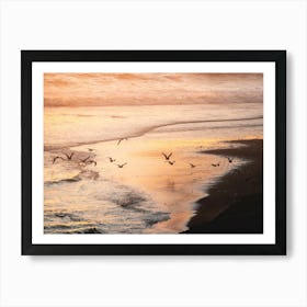 Seagulls At Sunset At The Beach Art Print