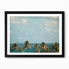 Palm Trees On The Beach Art Print