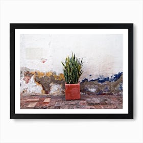 Queretaro Outdoor Plant Art Print