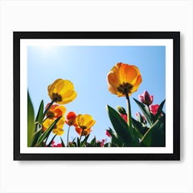 Tulips And Sky Art Print