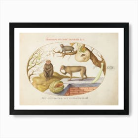 Quadervpedia Animals And Reptiles, Joris Hoefnagel (2) Art Print