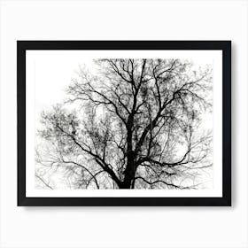 Silhouette Of Bare Tree Black And White 6 Art Print