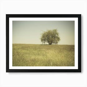 Single Tree In An Open Grassy Field Meadow 1 Art Print