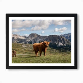 Highland Cow In The Mountains Art Print