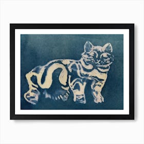 Cat In Indigo Poster