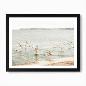 Seagulls Flying Over Beach Art Print