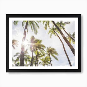 Dreamy Palms Poster