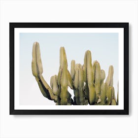 Modern Cactus Art Print