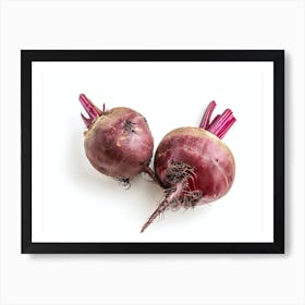 Beets Isolated On White Background Art Print