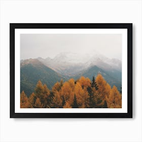 Fall Forest And Mountains Art Print