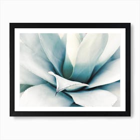 Blue Agave Poster