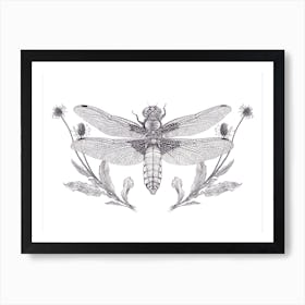 Broad Bodied Chaser Dragonfly Art Print