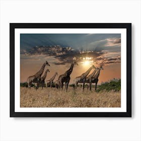 Giraffes At Sunset Art Print