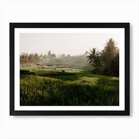 Bali Rice Fields Photograph, 10 Art Print