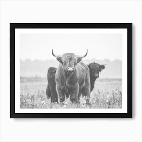 Shaggy Cow In Field Art Print