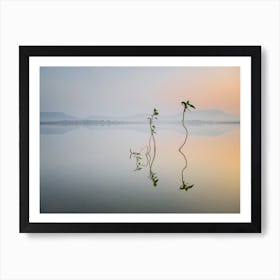 Reflection Of Life Art Print