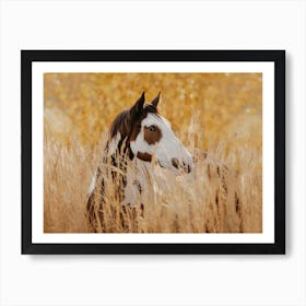 Warm Fall Wheat Field Horse Art Print