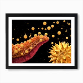 Pollen Grains Asteraceae 04 Art Print