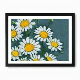 Daisies 1 Art Print