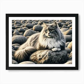 Cat On Rocks - Adapt Art Print