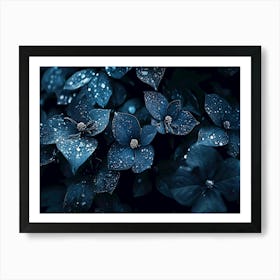 Dark flowers with waterdrops Art Print