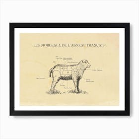 French Lamb Butcher Cuts Chart Art Print
