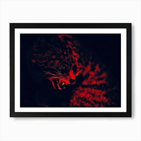 Felin Anger Art Print