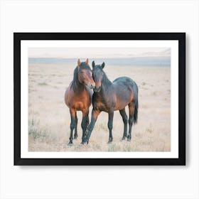 Two Wild Horses Art Print