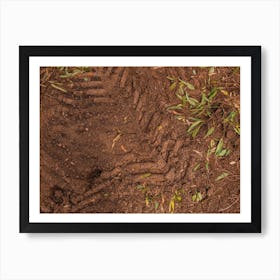 Texture Of Brown Mud With Tractor Tyre Tracks 4 Art Print