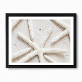 Dried Starfish Art Print