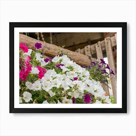 Hanging Basket Of Flowers 202308171631196pub Poster