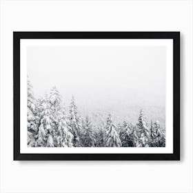 Snow Covered Forest Art Print