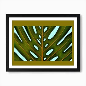 Monstera With Passepartout Art Print