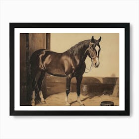 Horse In A Stable Art Print