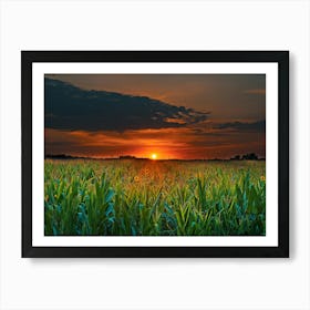 Sunset In The Corn Field Art Print