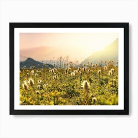 Wildflowers In The Mountains - Mount Rainier National Park Sunset Art Print