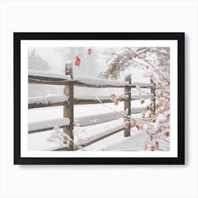 Snow Covered Fence Art Print