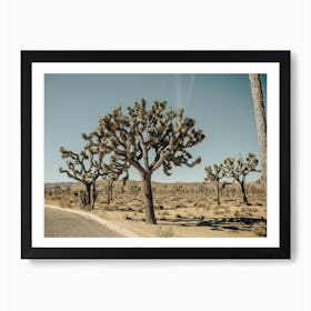 Mojave Art Print