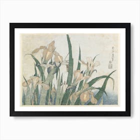Irises And Grasshopper, Katsushika Hokusai Art Print