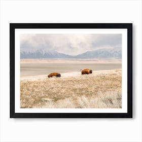 Running Bison Art Print