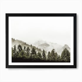 Foggy Evergreen Trees Art Print