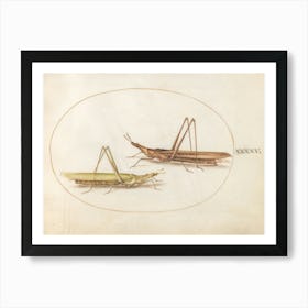Two Grasshoppers, Joris Hoefnagel Art Print