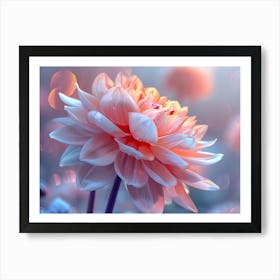 Dahlia Flower Art Print