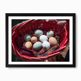 Basket Of Eggs 1 Art Print