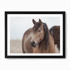 Winter Horse Art Print