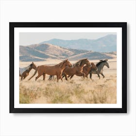 Wild Horses Running Art Print