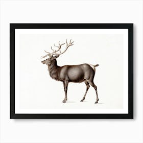 Vintage Deer Art Print